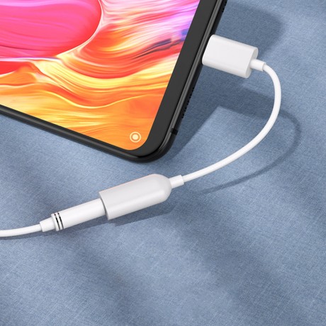 Xiaomi Orjinal USB Type-C Kulaklık Jack Dönüştürücü Kablo